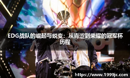 bsports必一体育